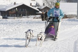 Lenk 2012 SM